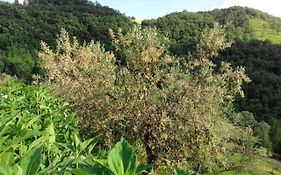 Gaiattone Eco Resort
